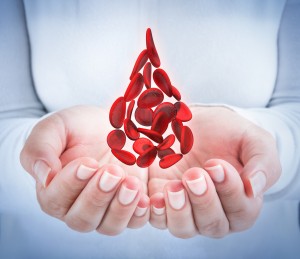 blood cells in hands - shaped blood drop - donation concept